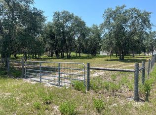 Shaw Lake Rd #90, Pierson, FL 32180