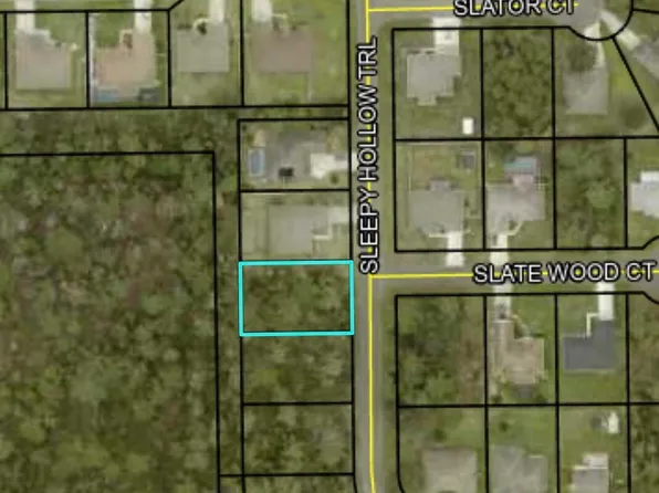22 Sleepy Hollow Trl, Palm Coast, FL 32164