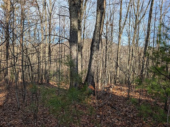 3rd image of 20 Wilderness Creek Way