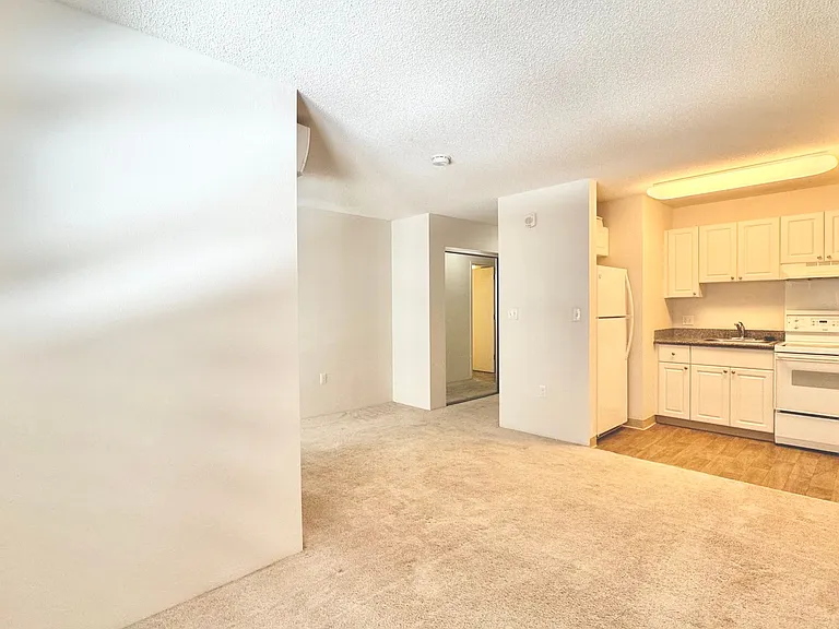 801 South St #305 — Photo 5