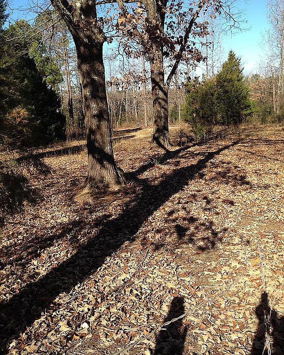 2nd image of 357 County Road 787