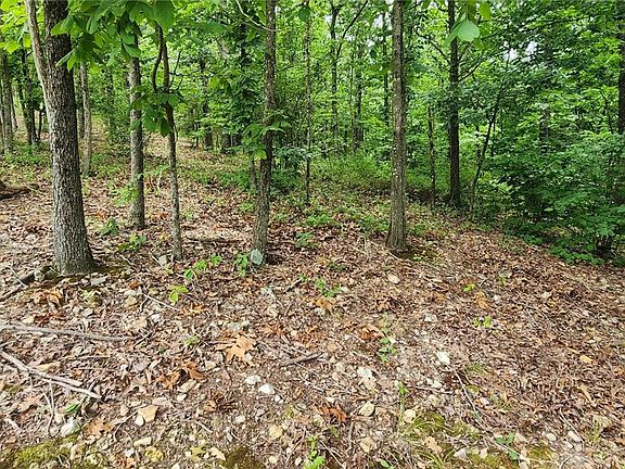 4th image of 1 Leola Ln