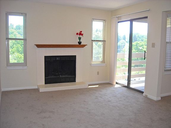 Wood Burning Fireplace