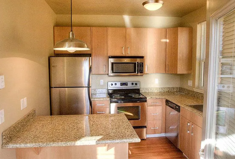 Coho — Photo 16