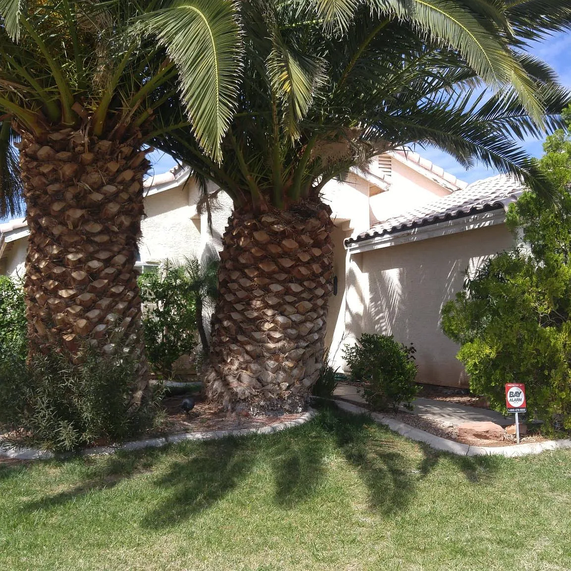 6088 Bing Cherry Dr — Photo 2