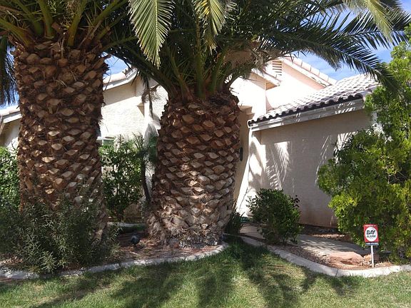 2nd image of 6088 Bing Cherry Dr
