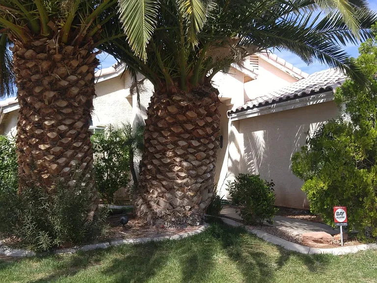 6088 Bing Cherry Dr — Photo 2