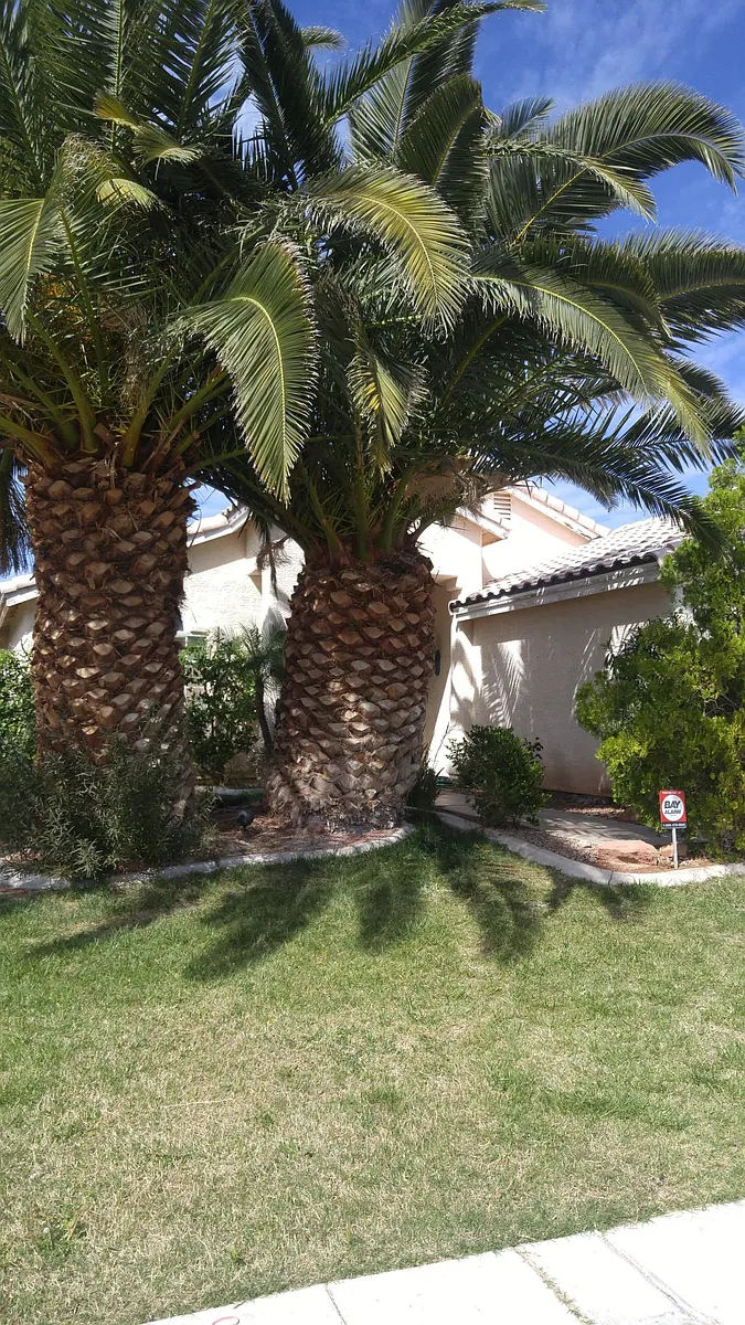 Building Photo - 6088 Bing Cherry Dr
