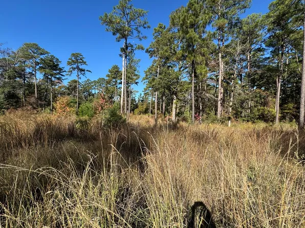 LOT 14 Private Road 6028, Brookeland, TX 75931