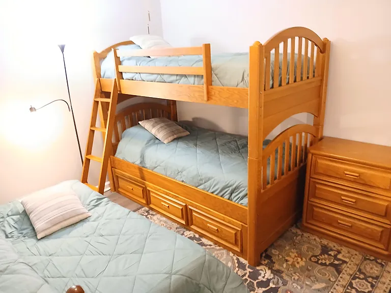 4376 Rebel Ct — Photo 43