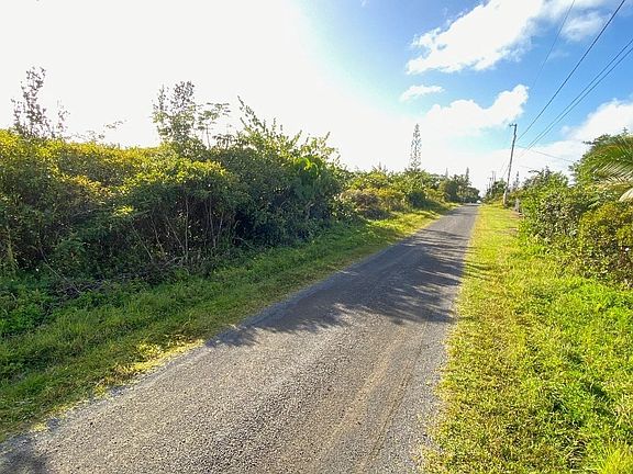 4th image of 2nd Avenue Aloe Lot 1467