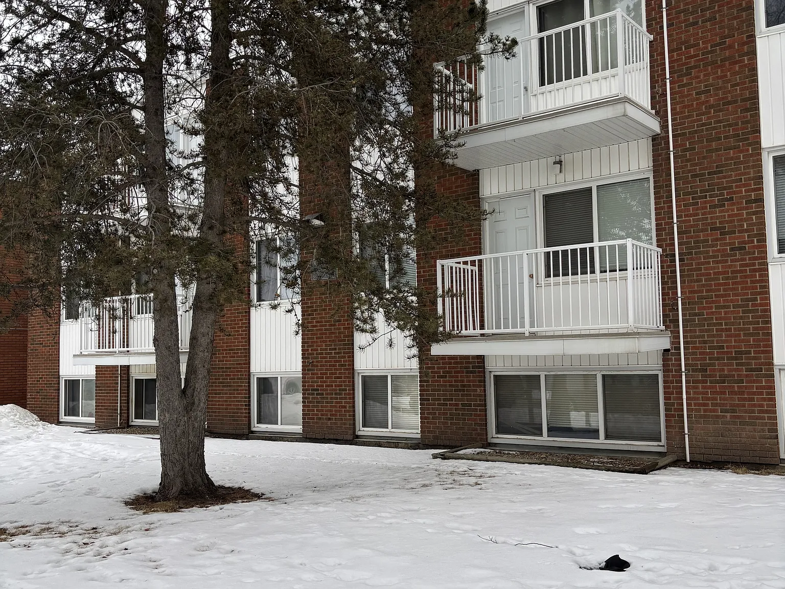 1 bed, 1.0 bath, $1,095 — Photo 2
