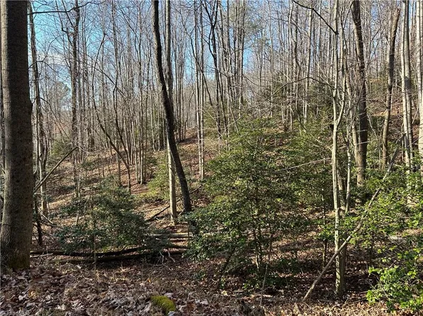 0 Hickman Hollow Trl, Mount Airy, NC 27030