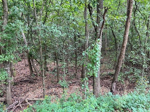 3rd image of County Road 505