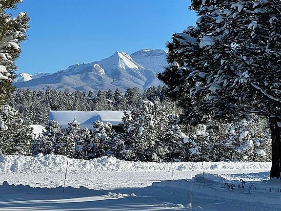 4th image of 653 Marmot Drive