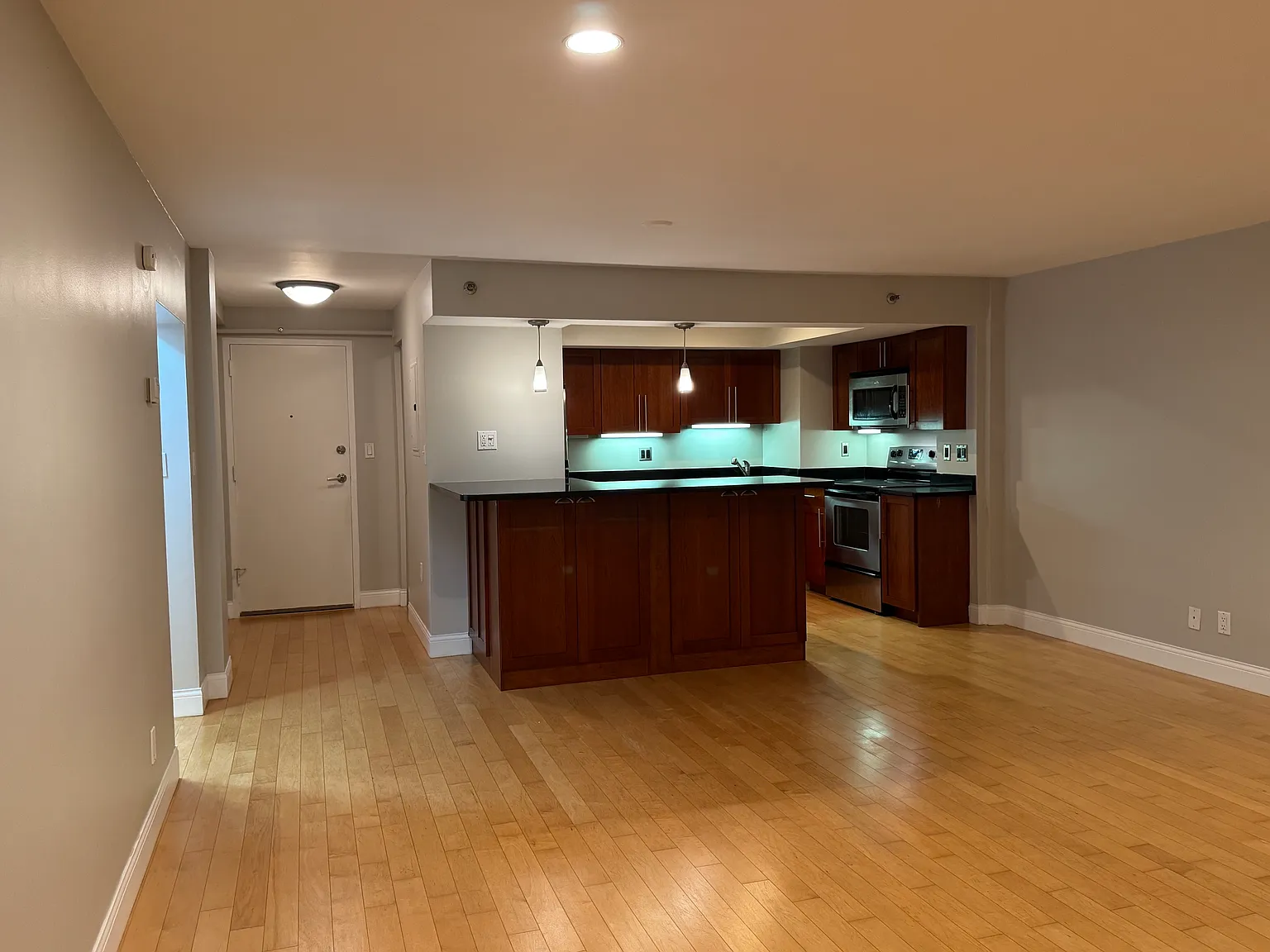 1 bed, 520 sqft, $2,850 — Photo 4
