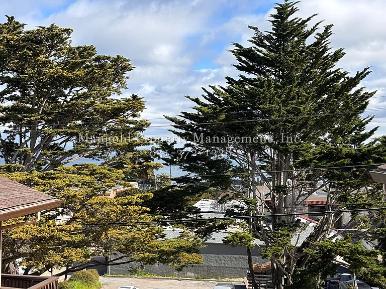 491haw — Photo 12