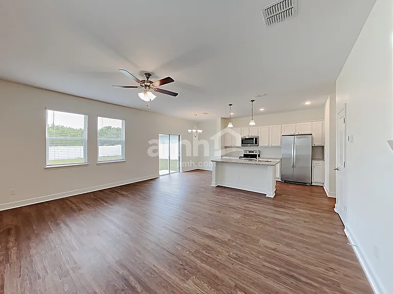 1397 Celery Palm Cv — Photo 7