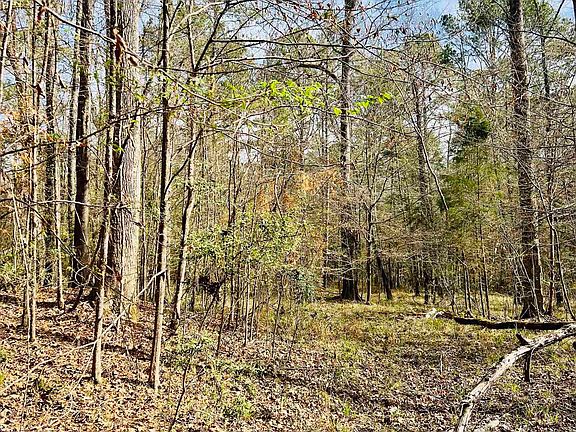3rd image of 15397 Rogers Rd