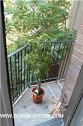 Rented by Bond New York