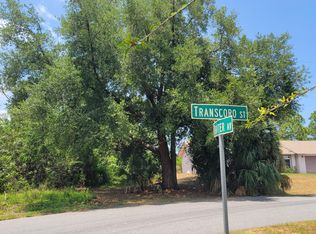 1305 Transcoro St SE, Palm Bay, FL 32909