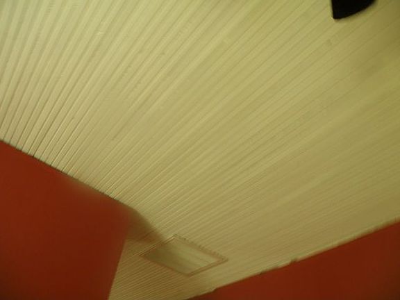 Wooden ceilings in Living and Dining