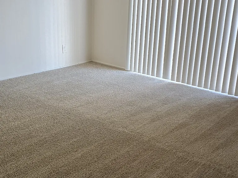 3610 Emerald St #21 — Photo 6