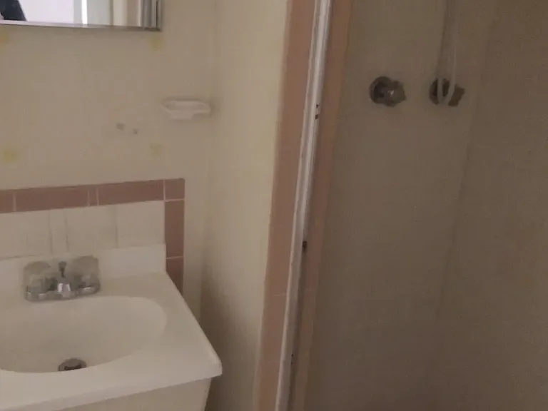 Back bathroom 2