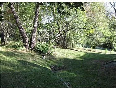 226 Churchill Rd photo 1