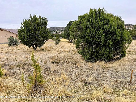 5th image of 205 Saddleback Rd