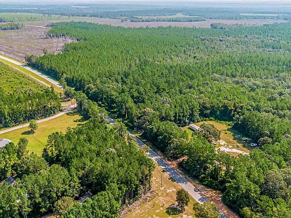 5th image of LOT 5 Munson Hwy