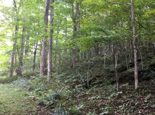 1002 Little Mountain Dr #D8-8, Hillsboro, WV 24946