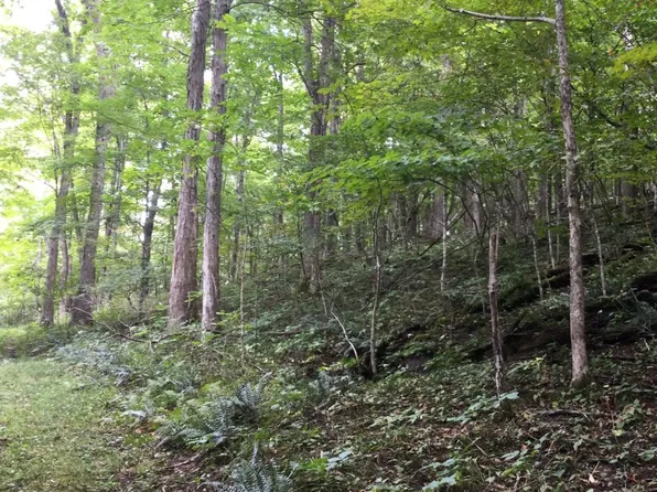 1002 Little Mountain Dr #D8-8, Hillsboro, WV 24946