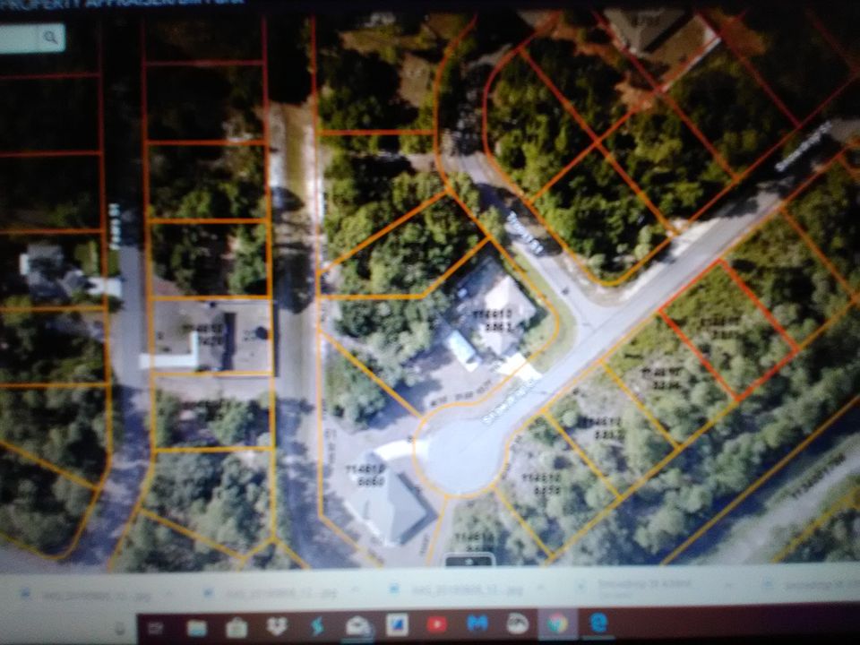 2nd image of Snowdrop St