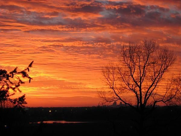 View from the picture window in the living room.