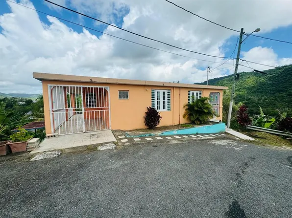 Comunidad Las Carolinas Calle #2-502, Caguas, PR 00727