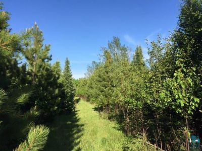 1142 Camp 20 Rd, Hovland, MN, 55606