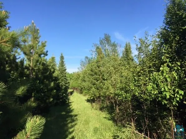 1142 Camp 20 Rd, Grand Marais, MN 55604