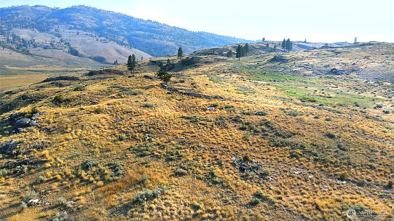 3rd image of 0 XX McLaughlin Canyon Road