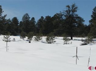 77 Bonita Ln, Pagosa Springs, CO 81147