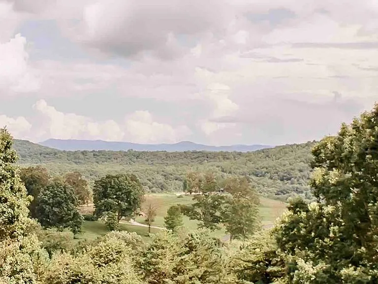 Window View