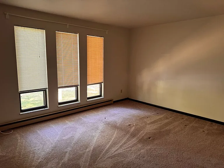 214 E Water St — Photo 17