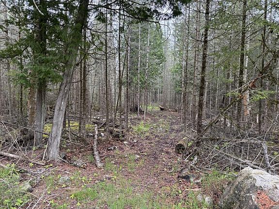 2nd image of 39077 S Cream City Point Rd