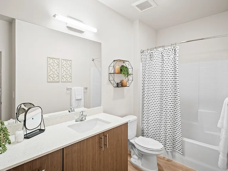 Modern Bathroom with High-End Finishes