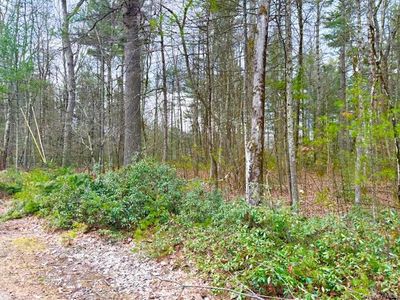 LOT 34 Pine Kill Road Pine Kill Road, Wurtsboro, NY, 12790
