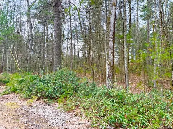LOT 34 Pine Kill Road Pine Kill Road, Wurtsboro, NY 12790