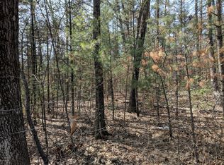 11769 Blue Lake Rd, Holton, MI 49425