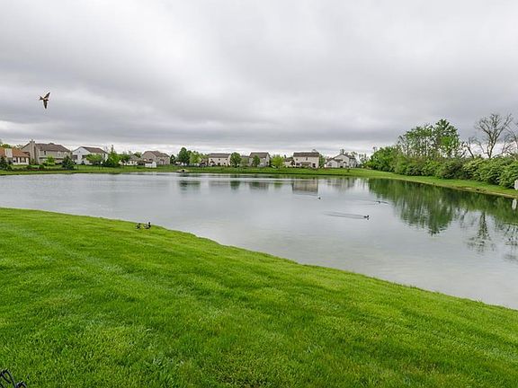 4th image of 10006 Twyckenham Ct