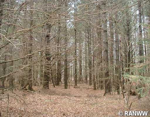 4th image of 3697 N Strom Road