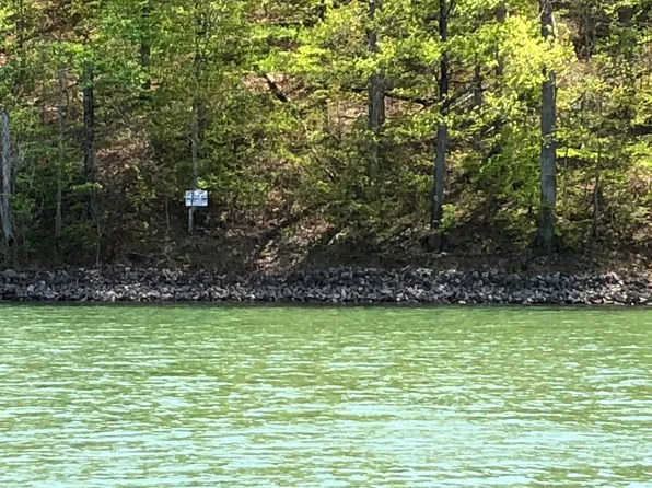 N Shorewood Ln, Caryville, TN 37714